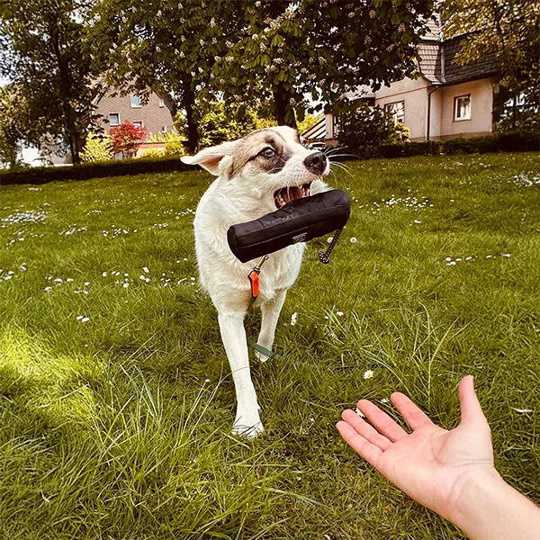Hund bringt Apportier-Dummy zurück